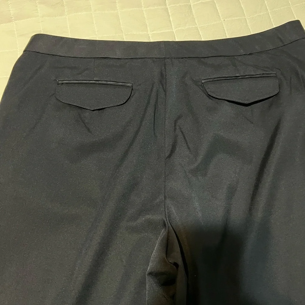 Women’s pants by Talbots.  Size 16.